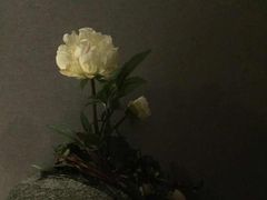 -璞·澐间影院式足道SPA(尚悦湾店)