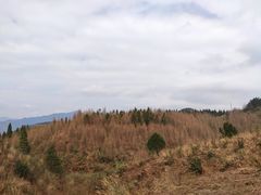 -山王坪喀斯特国家生态公园