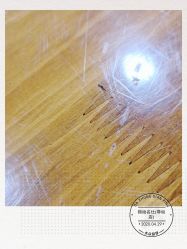 -锦尚名仕Hair Salon