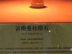 -紫金山天文台
