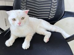 -宠颐生宠物医院·骨外科·犬猫全科诊疗中心(池州店)