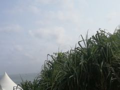 -瑞德姆美人鱼海底演艺主题餐厅(亚龙湾店)