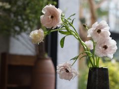 -扫雪煮茶(西村店)