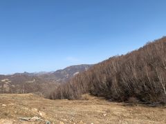 -灵山