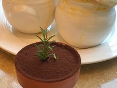 -亮马河饭店翠雅咖啡厅