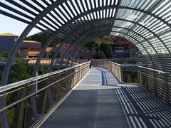 -仙岳公园