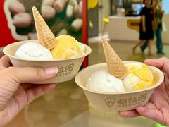 -极拉图·现制冰淇淋(大卫城店)