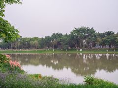 -海珠湖公园