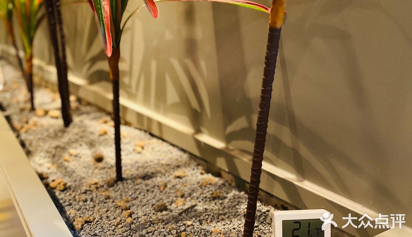 女王节3.8元太香了[礼花]