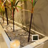 女王节3.8元太香了[礼花]