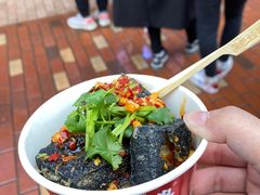 黑色经典臭豆腐-黑色经典臭豆腐·湖南特产(潇湘文化店)