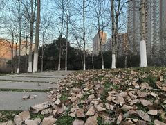 -唐城墙遗址公园