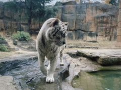 -杭州野生动物世界