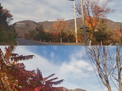 -妙峰山风景名胜区