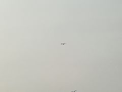 -丁香湖公园