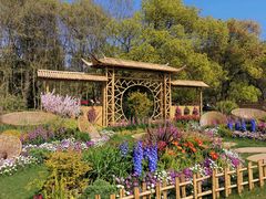 -上海共青森林公园