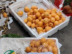 -城南综合水果批发市场(花园路店)