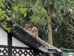 -太阳湾风景区