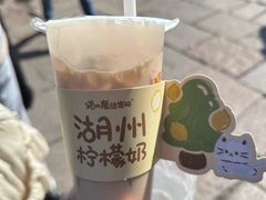 -猫的魔法密林(衣裳街店)