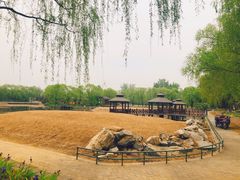 -尚庄度假村·庭台树下·户外烧烤·团建CS·轰趴营地(上庄水库店)