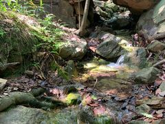 -兴福老面馆(寺路街店)