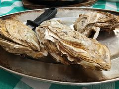 -豪园台山碳烧生蚝(蓬江江华店)