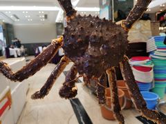 -启东海鲜人家(古美路店)