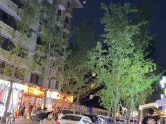 -奎星楼街