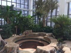 -悦隆庄温泉度假酒店