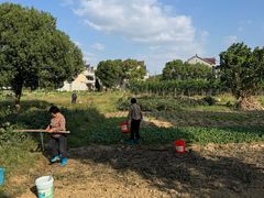 -费孝通江村纪念馆