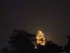 -大金鹰园