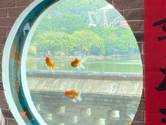 -珠海圆明新园