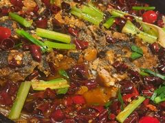 -老板恋上鱼(恒隆广场店)