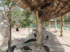 -水上乐园·欢乐世界