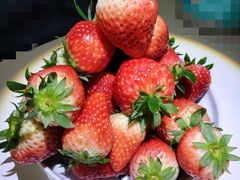 -西郊国际农产品交易中心