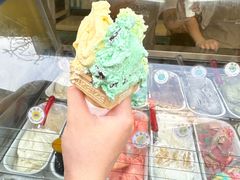 -柠檬车露(卖草地店)