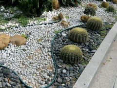 -汕头中海黄金海岸水上乐园