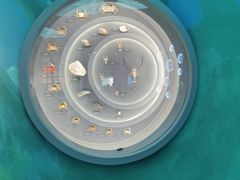 -中国湿地博物馆