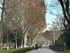 -金城公园