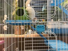 -龟与熊猫宠物公园(南坪店)