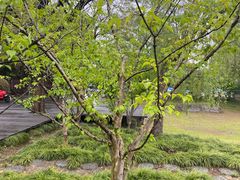 -东关历史文化旅游区-东门遗址