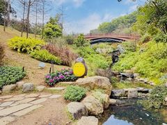 -云溪植物园