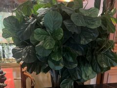 -八府香鸭·啫啫煲(华山路店)