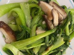 -鹤乡东北菜(崮山路店)
