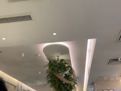 -Aqua Oasis 水天堂(太湖中心mall店)