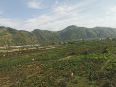 -天水南站
