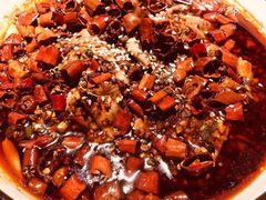 -雲蜀龙阁·金牌水煮鱼(方庄店)