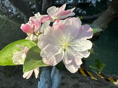 -海棠花溪(元大都城垣遗址公园)