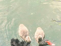 -长兴太湖图影湿地文化园