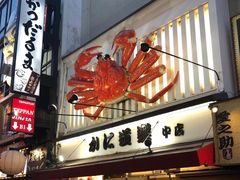 -蟹道乐(道顿堀本店)